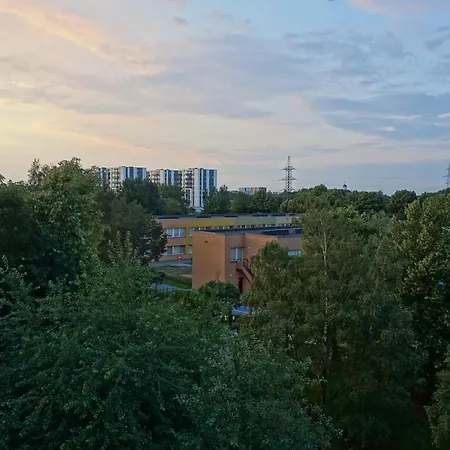 Song Festival Apartment, 5-10 Min From Bus/airport 아파트